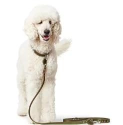 Hunter Aalborg Hundesnor Oliven 13/200