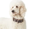 Hunter Aalborg Special Hundehalsbånd Brun 35 - 24-30 cm