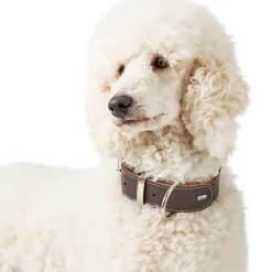 Hunter Aalborg Special Hundehalsbånd 40 Brun - 28-34 cm