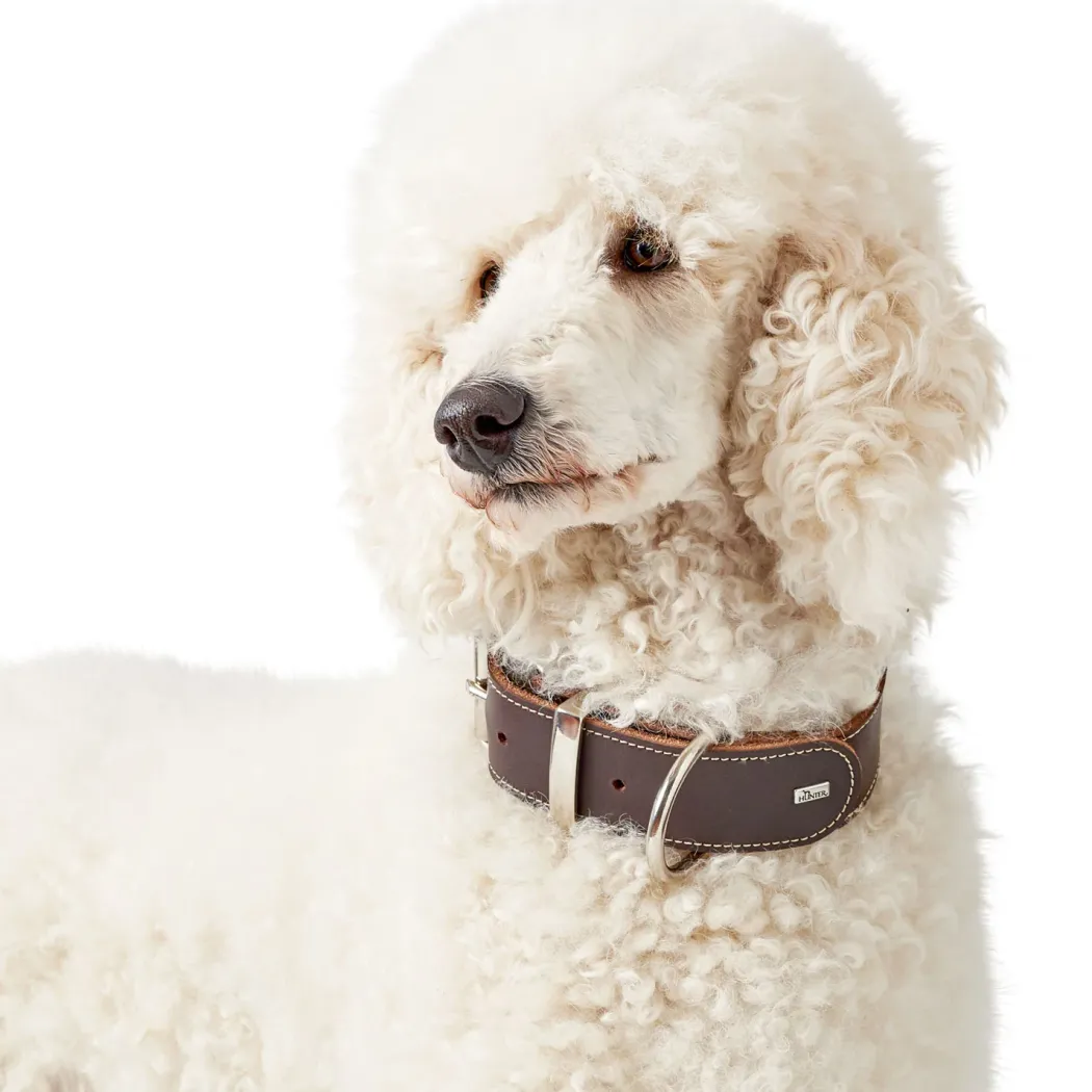 Hunter Aalborg Special Hundehalsbånd 40 Brun - 28-34 cm