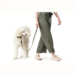 Hunter Aalborg Sport Oliven 37 hundehalsbånd - 28-33 cm