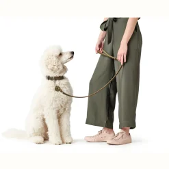 Hunter Aalborg Sport Oliven 37 hundehalsbånd - 28-33 cm