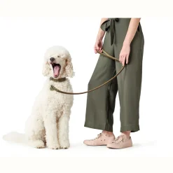 Hunter Aalborg Sport Oliven 37 hundehalsbånd - 28-33 cm