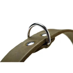 Hunter Aalborg Sport Oliven 42 hundehalsbånd - 32-38 cm