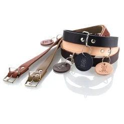 Hunter Aalborg Sport Oliven 42 hundehalsbånd - 32-38 cm