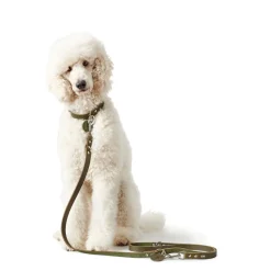Hunter Aalborg Sport Oliven 47 hundehalsbånd - 37-43 cm