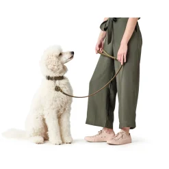 Hunter Aalborg Sport Oliven 47 hundehalsbånd - 37-43 cm