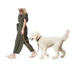 Hunter Aalborg Sport Oliven 47 hundehalsbånd - 37-43 cm