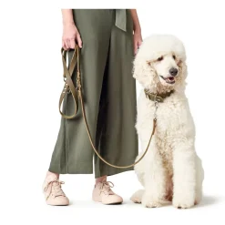 Hunter Aalborg Sport Oliven 52 hundehalsbånd - 38-47 cm
