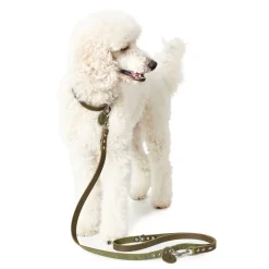 Hunter Aalborg Sport Oliven 52 hundehalsbånd - 38-47 cm