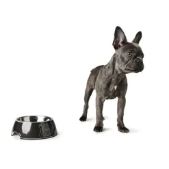 Hunter Burgos 160 ml