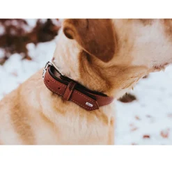 Hunter Canadian UP Hundehalsbånd Large 65 Cognac/Sort - 50-56 cm