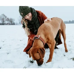 Hunter Canadian UP Hundehalsbånd Large 65 Cognac/Sort - 50-56 cm