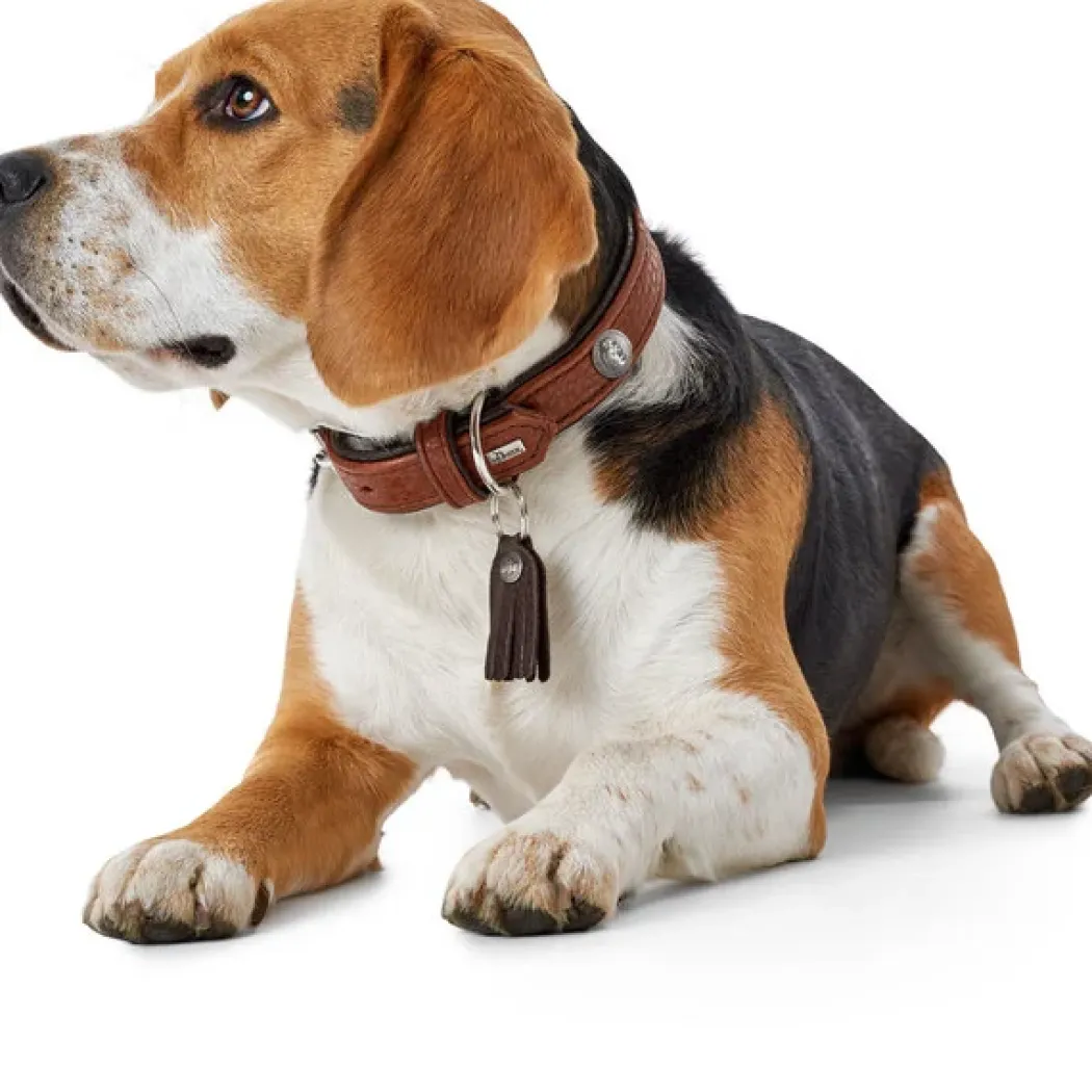 Hunter Cody 40 Cognac Mørkebrun hundehalsbånd - 29-35 cm
