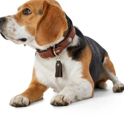 Hunter Cody 60 Cognac Mørkebrun hundehalsbånd - 46-52 cm