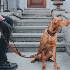Hunter Cody 50 Mørkebrun Cognac hundehalsbånd - 37-43 cm