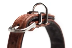 Hunter Cody Petit 30 Cognac Mørkebrun hundehalsbånd