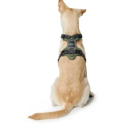 Hunter Divo hundesele L grøn/grå just mave 72-100 cm - Stabil kontrol og komfort
