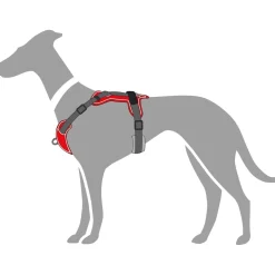 Hunter Divo hundesele S-M rød/grå just mave 52-68 cm - Fleksibel støtte til aktive ture