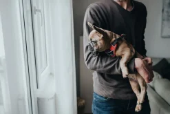 Hunter Divo hundesele S-M rød/grå just mave 52-68 cm - Fleksibel støtte til aktive ture