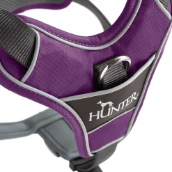 Hunter Divo hundesele S violet/grå just mave 45-56 cm - Tryg pasform og bevægelse