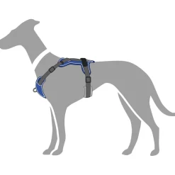 Hunter Divo hundesele XS petrol/grå just mave 34-47 cm - Stabil pasform og synlig sikkerhed