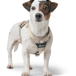 Hunter Divo Up hundesele L-XL beige just mave 79-107 cm - Ekstra stabil støtte og rolig håndtering