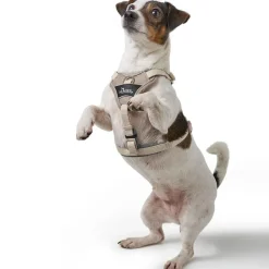 Hunter Divo Up hundesele L-XL beige just mave 79-107 cm - Ekstra stabil støtte og rolig håndtering