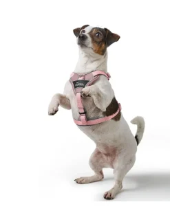 Hunter Divo Up hundesele L-XL lyserød just mave 79-107 cm - Stabil støtte og tryg kontrol