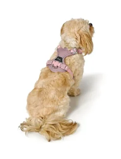 Hunter Divo Up hundesele M lyserød just mave 56-73 cm - Stabil bevægelse og afbalanceret komfort