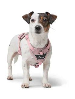 Hunter Divo Up hundesele XS lyserød just mave 34-47 cm - Blid påtagning og let ergonomisk komfort