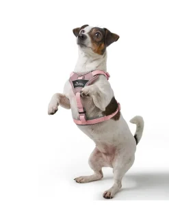 Hunter Divo Up hundesele XS lyserød just mave 34-47 cm - Blid påtagning og let ergonomisk komfort