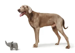 Hunter Eiby Elefant M - bamse til mellemstore hunde