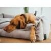 Hunter Eiby hundeseng Medium 80x60 cm Grå