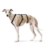 Hunter Escape-proof sele Vario Rapid Sort L længde 51-85 cm 2,5 cm - sikker pasform
