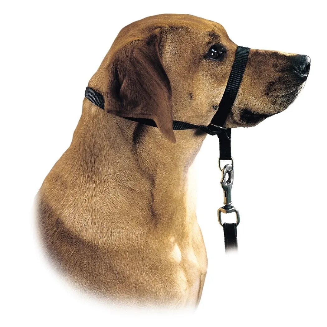 Hunter Follow Me snudesele til hund str L