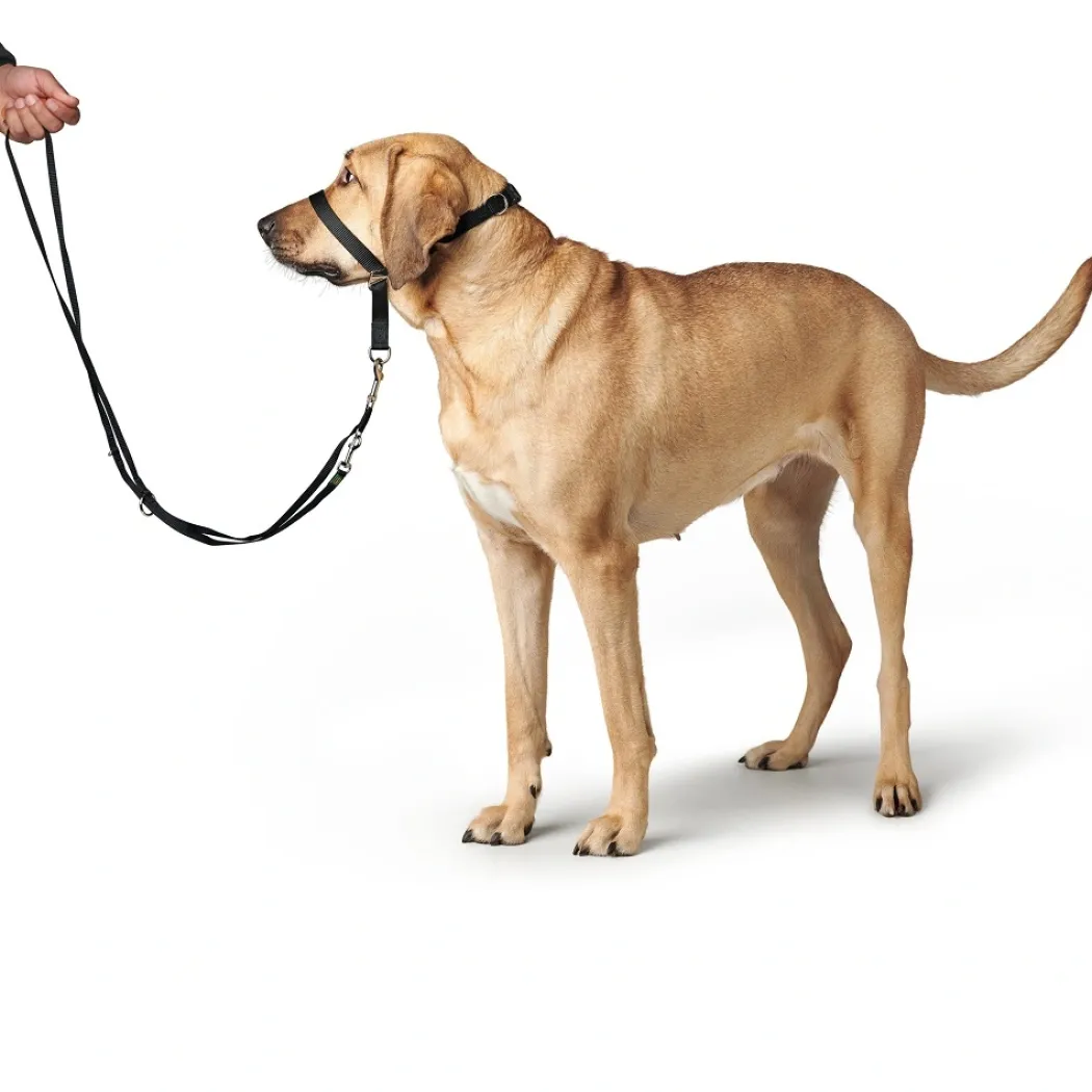 Hunter Follow Me snudesele til hund str XL