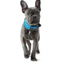 Hunter Halsbånd Divo L Lyseblå/Grå - justerbart hundehalsbånd (45-55 cm, B 4,5 cm)