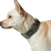 Hunter Halsbånd Divo M Grøn/Grå - justerbart hundehalsbånd (35-45 cm, B 4,5 cm)