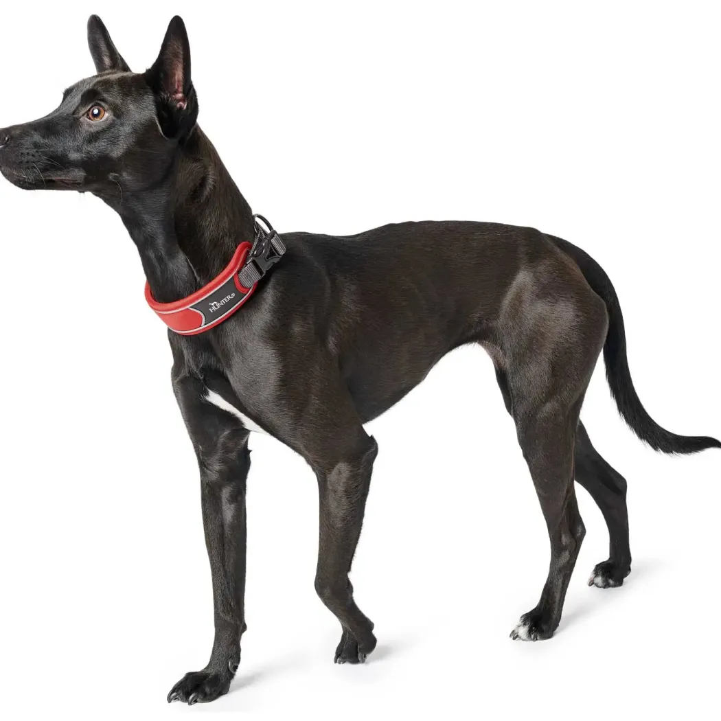 Hunter Halsbånd Divo M Rød/Grå - justerbart hundehalsbånd (35-45 cm, B 4,5 cm)