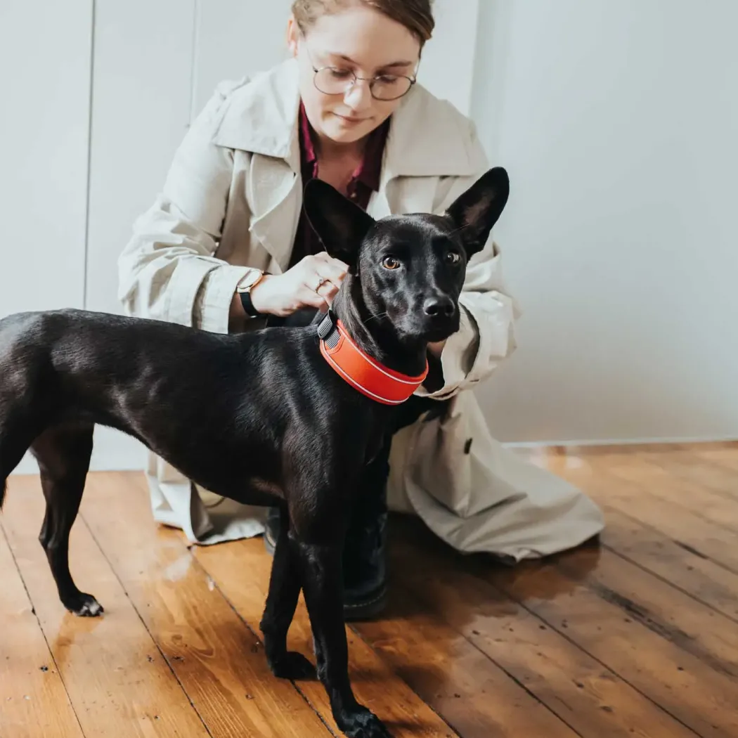 Hunter Halsbånd Divo M Rød/Grå - justerbart hundehalsbånd (35-45 cm, B 4,5 cm)