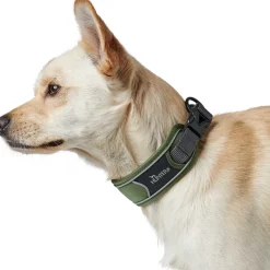 Hunter Halsbånd Divo S Grøn/Grå - justerbart hundehalsbånd (25-35 cm, B 4 cm)