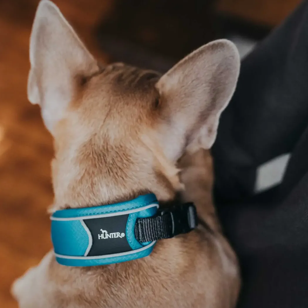 Hunter Halsbånd Divo S Lyseblå/Grå - justerbart hundehalsbånd (25-35 cm, B 4 cm)
