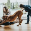 Hunter Halsbånd Divo S Petrol/Grå - justerbart hundehalsbånd (25-35 cm, B 4 cm)