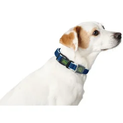 Hunter hunde halsbånd Hilo Blå S-M - justerbart hundehalsbånd (30-43 cm, B 2,5 cm)