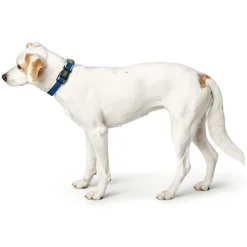 Hunter hunde halsbånd Hilo Blå S-M - justerbart hundehalsbånd (30-43 cm, B 2,5 cm)