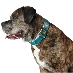 Hunter hunde halsbånd Hilo Turkis M-L - justerbart hundehalsbånd (33-50 cm, B 2,5 cm)