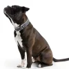 Hunter Hundehalsbånd læder Canada Elg Grå 35 - 24-30 cm