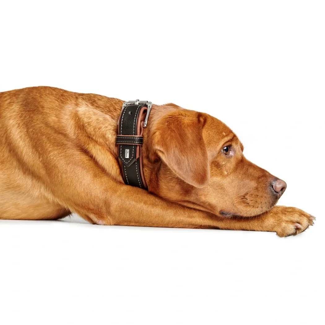Hunter Hundehalsbånd læder Canada Elg Str.50 Sort/Cognac - 37-43 cm