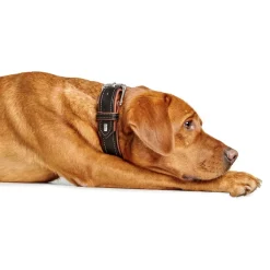 Hunter Hundehalsbånd læder Canada Elg Str.65 Sort/Cognac - 50-56 cm